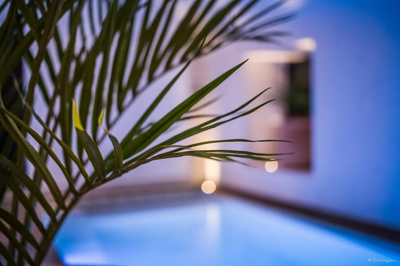 ****  Laz' Hotel Spa Urbain Paris France